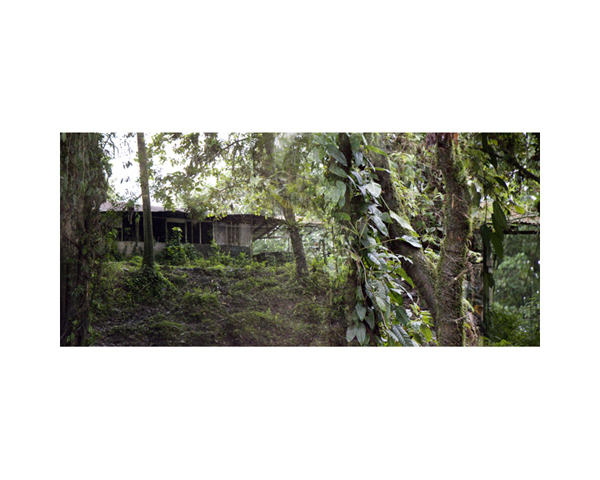 Jungle Hut Costa Rica